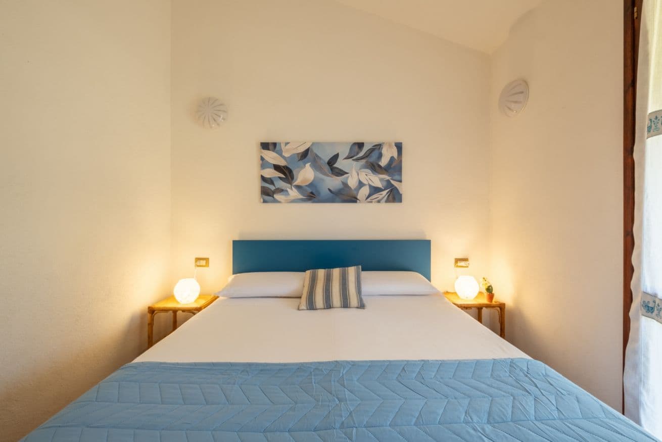 Agave Blu - Photo 14